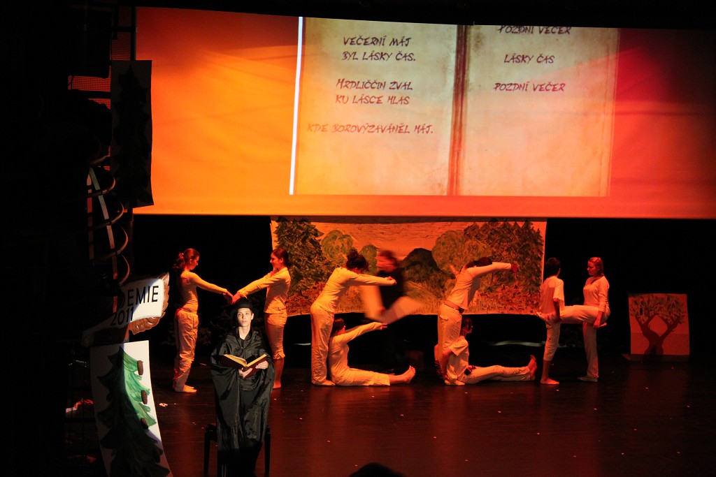 Akademie 2011