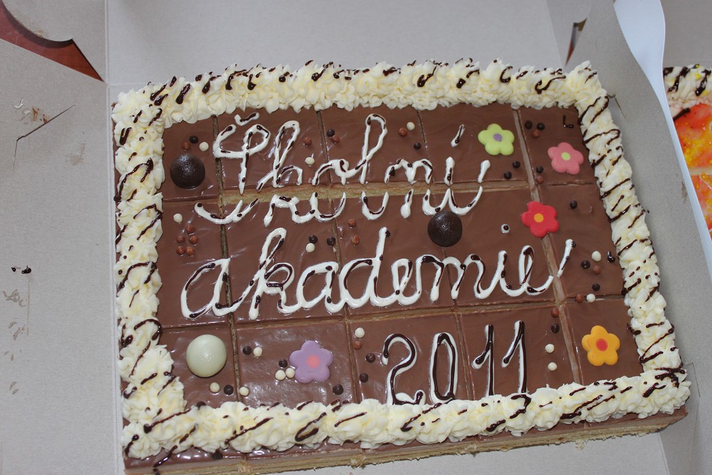 Akademie 2011