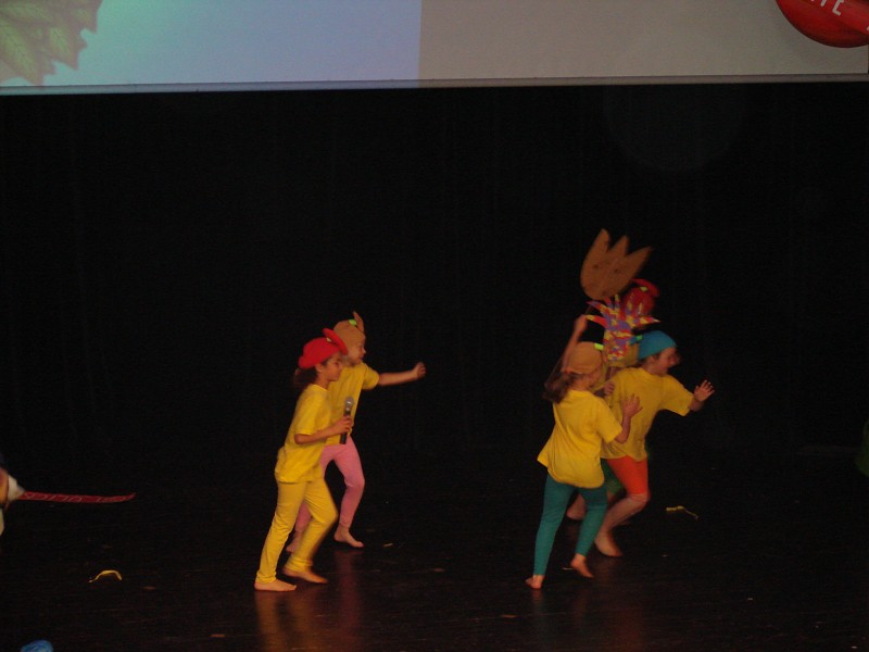 img00090.jpg