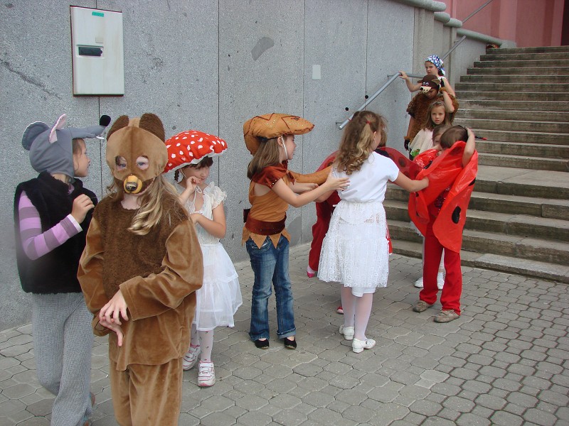 img00175.jpg