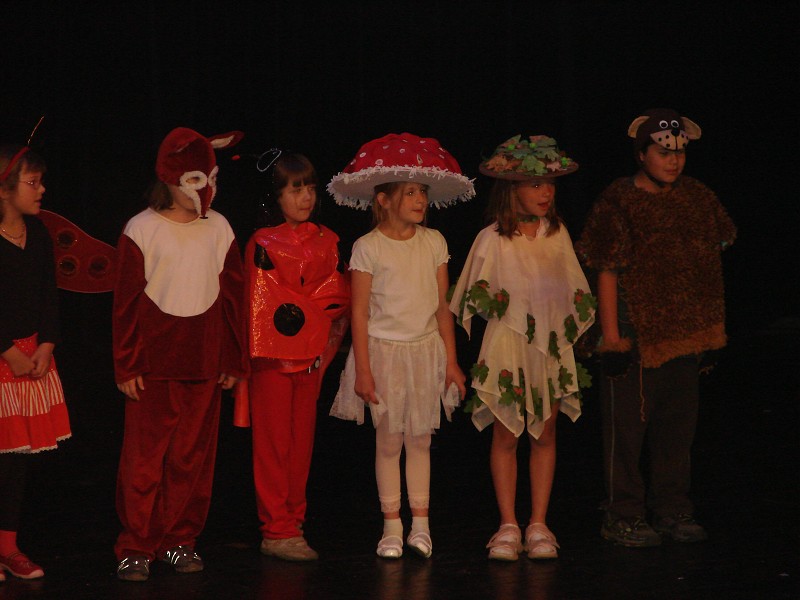 img00179.jpg