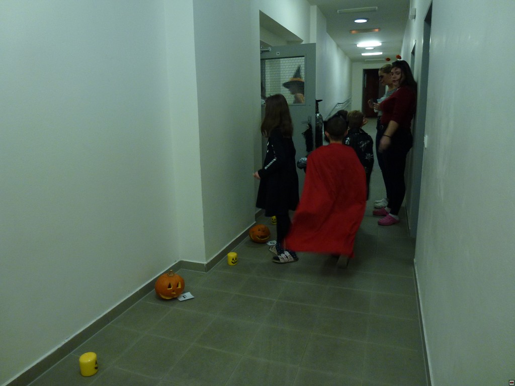 img00027.jpg