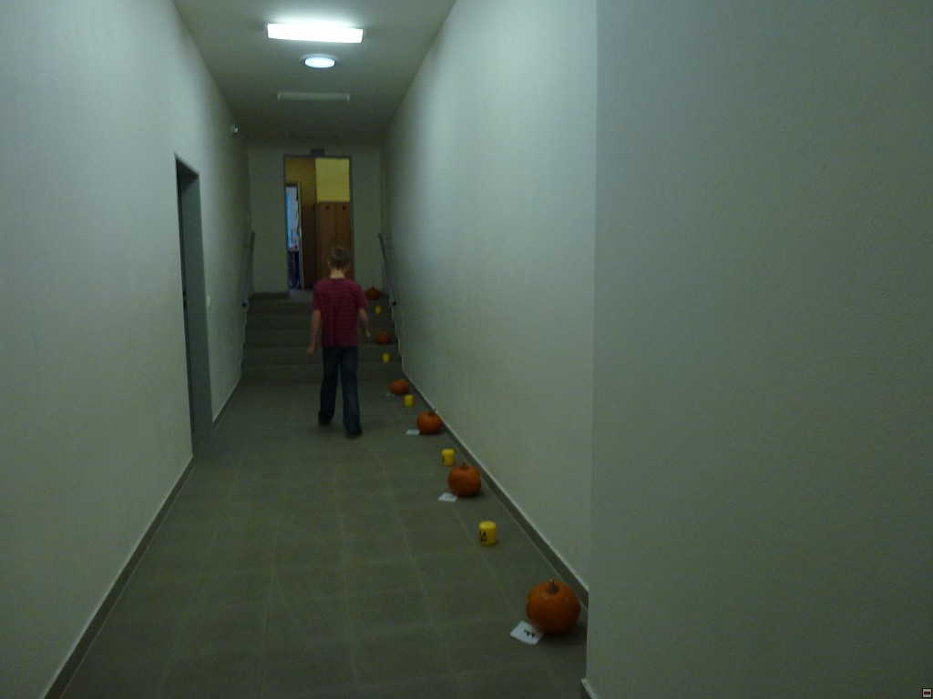 img00036.jpg