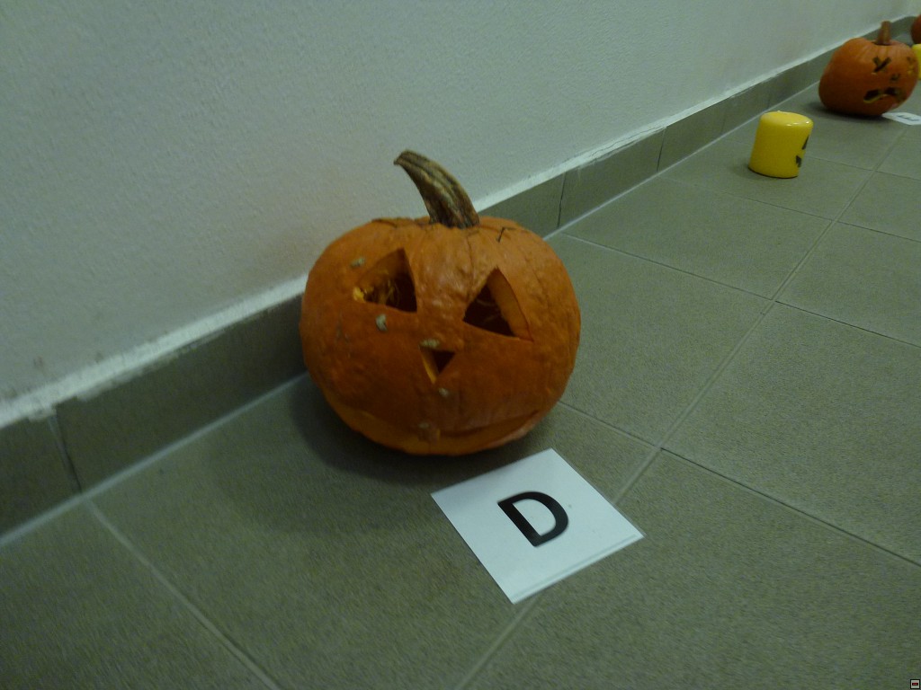 img00037.jpg