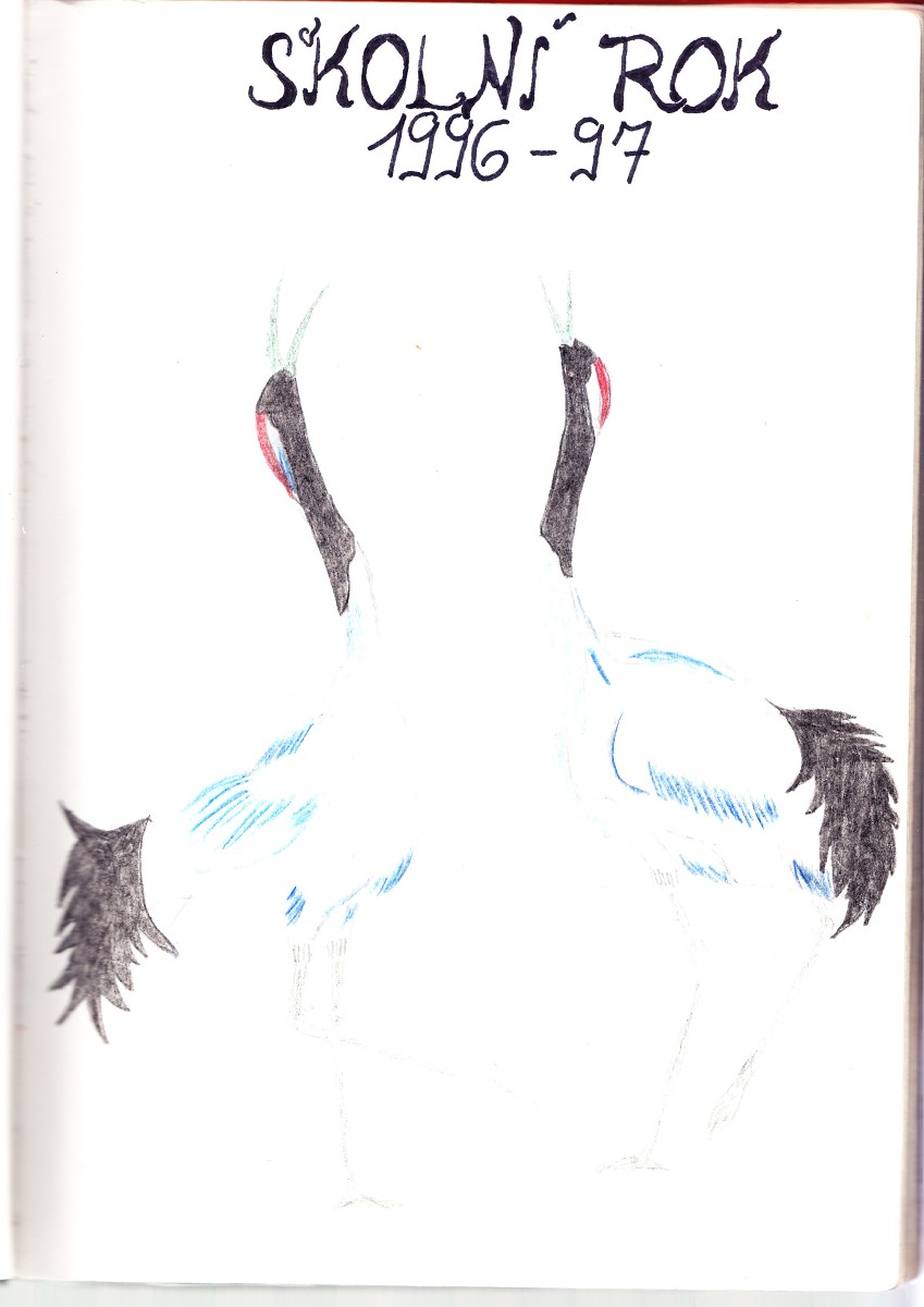 img00038.jpg