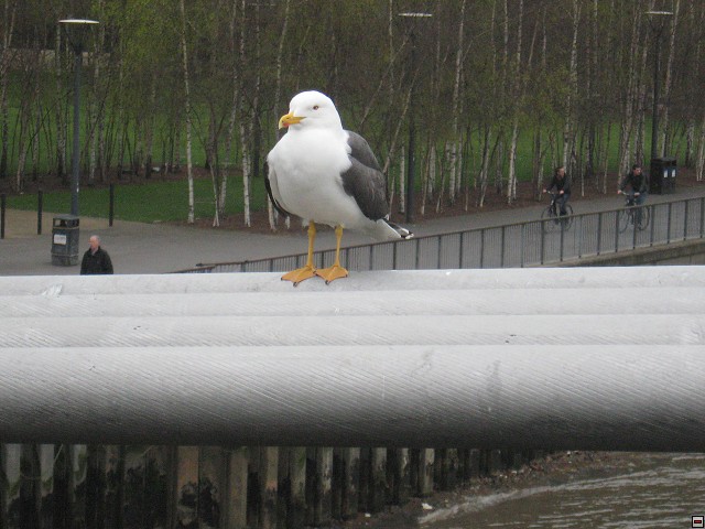 img00033.jpg