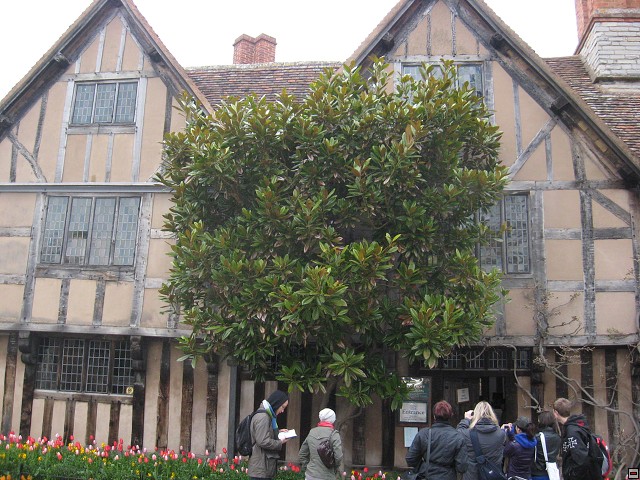 img00044.jpg