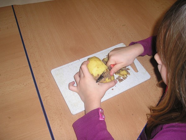 Bramboriáda - družina 2008