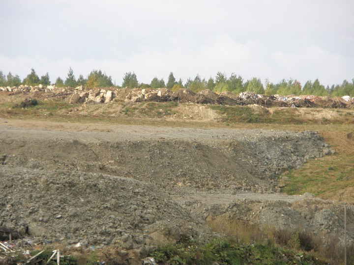 img00013.jpg