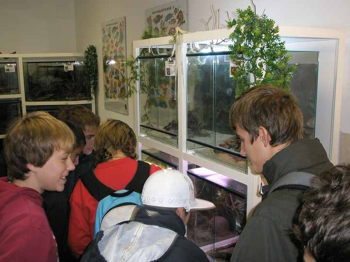 img00026.jpg