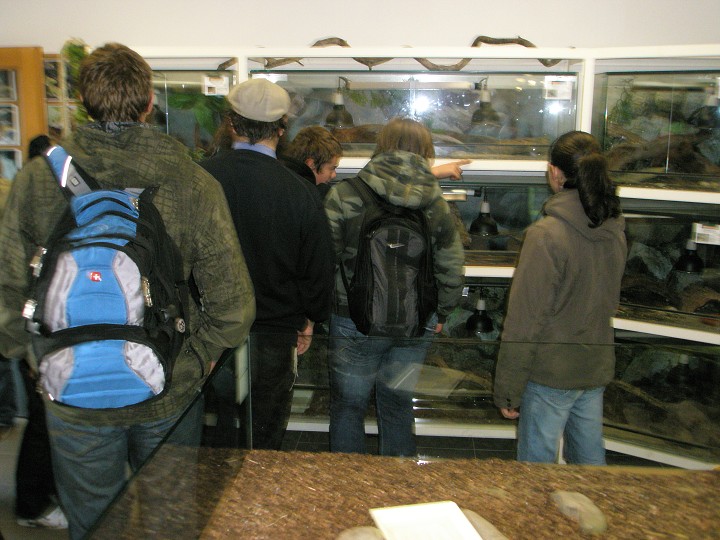 img00027.jpg
