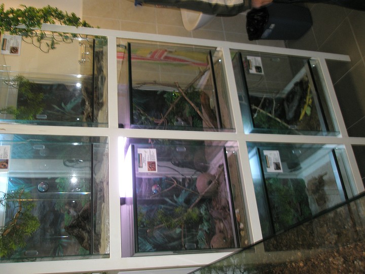 img00028.jpg