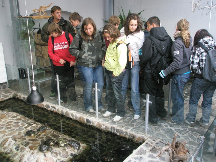 img00033.jpg