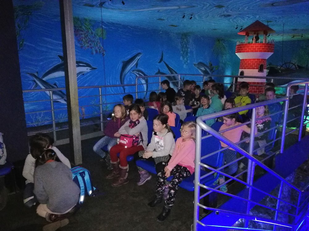 87972728 1391636744349934 4393576940502515712 o